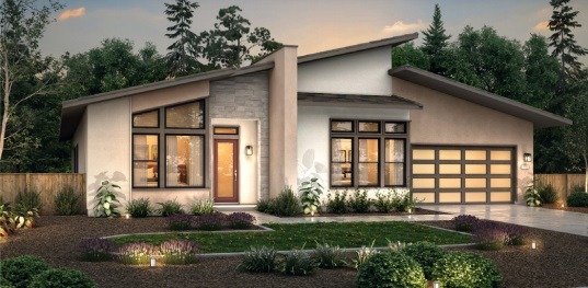 house rendering single story