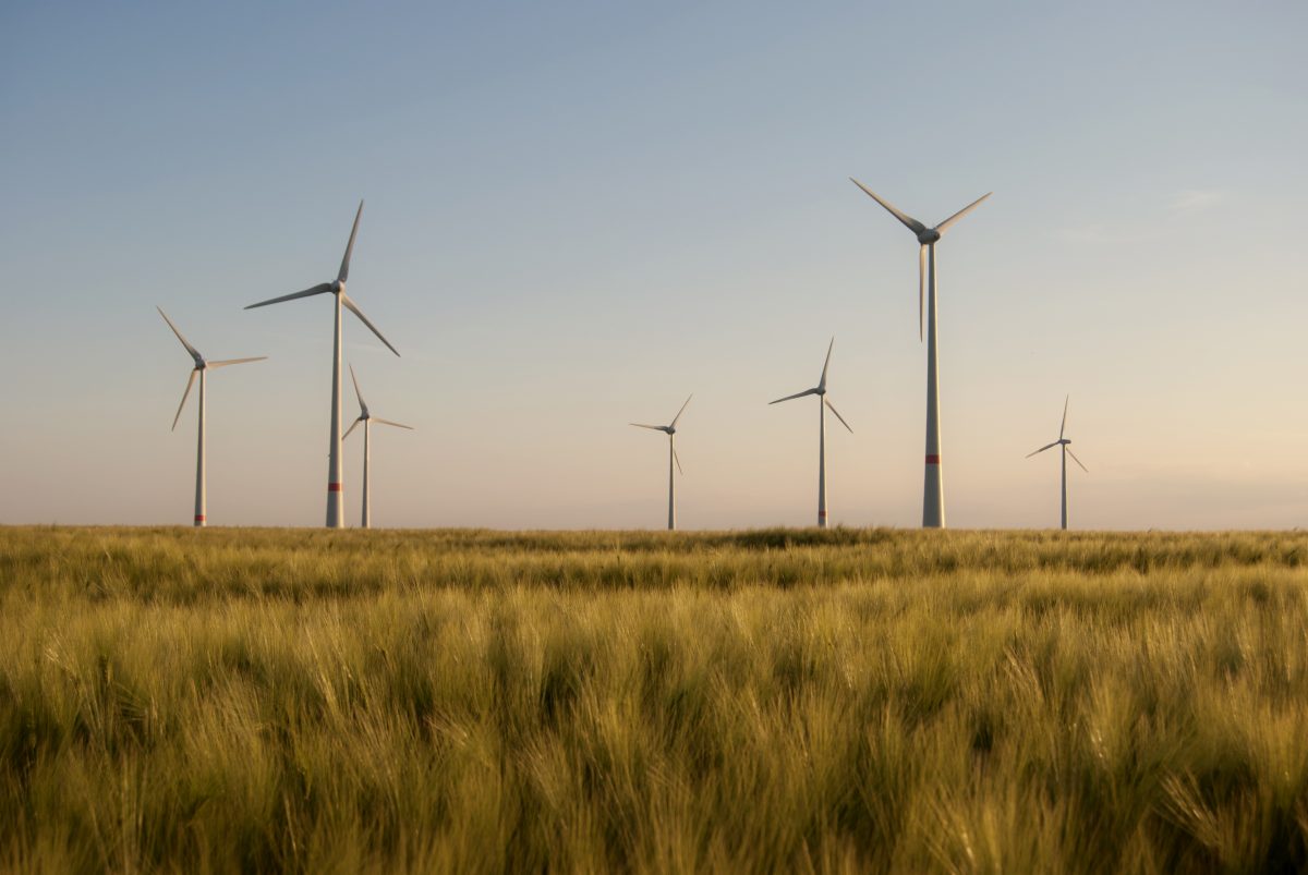 Net Zero: What Is It and How Do We Get There?